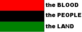 Pan Afrikan Flag